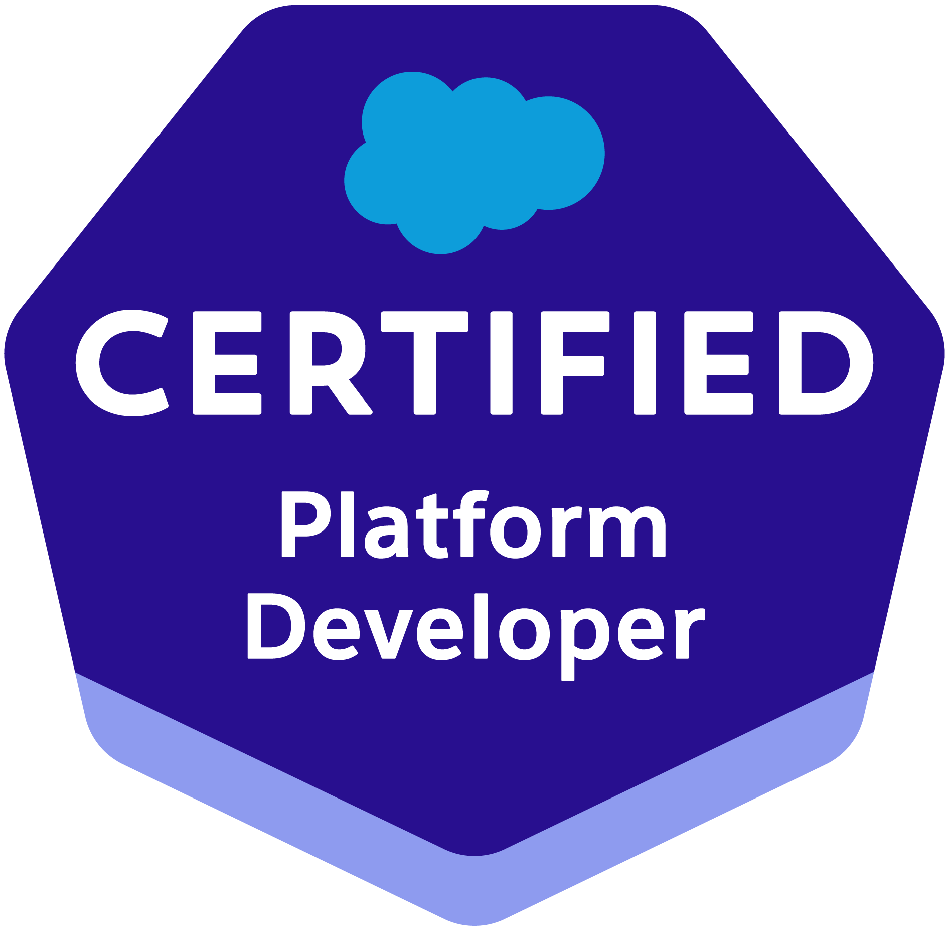 Platform Developer