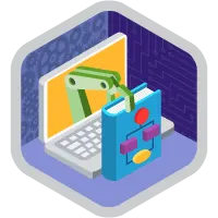 Flow Data Collections Optimization